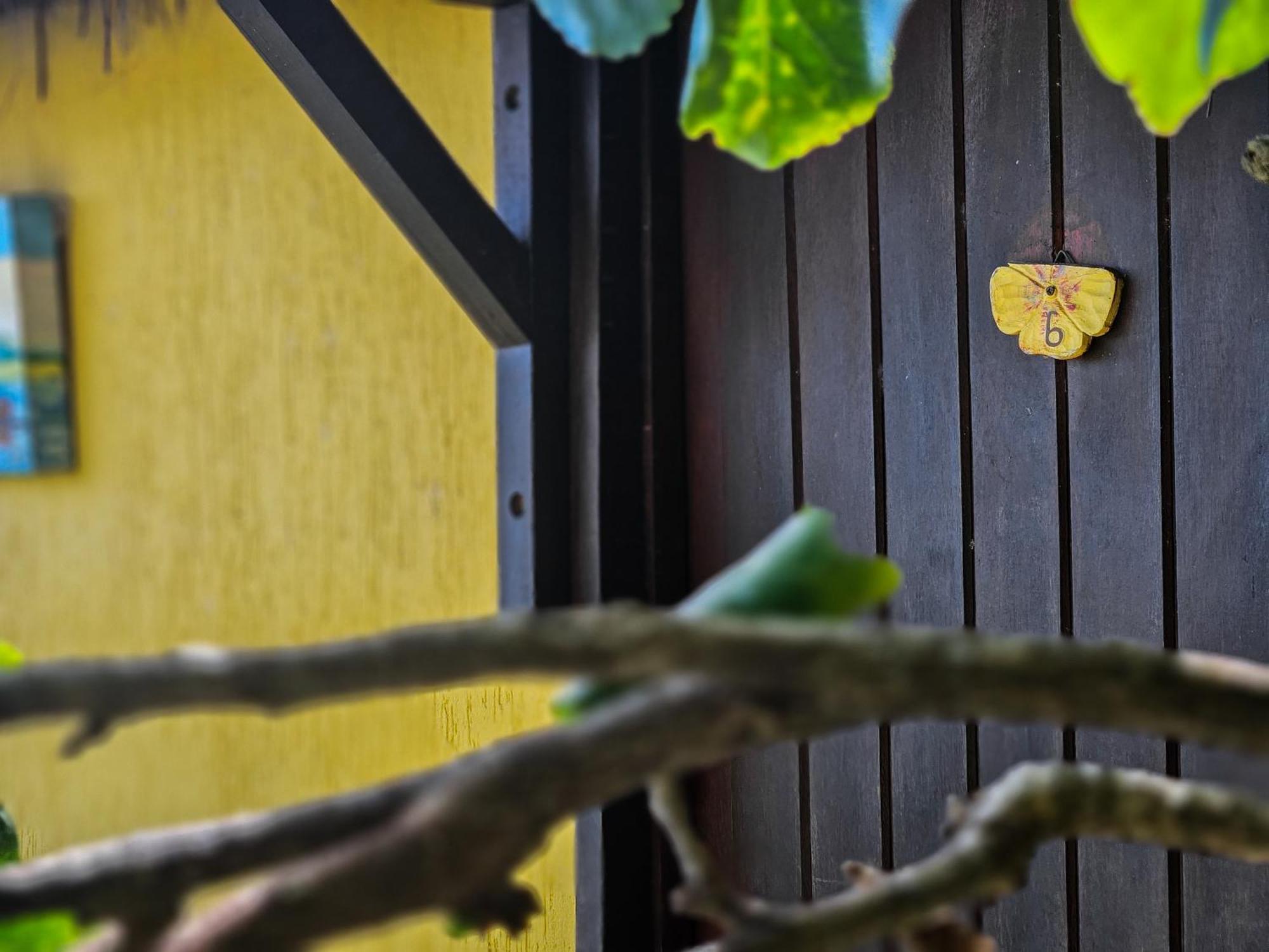Hotel Bella Vista Ocean View Búzios Exteriér fotografie A yellow butterfly on a wall