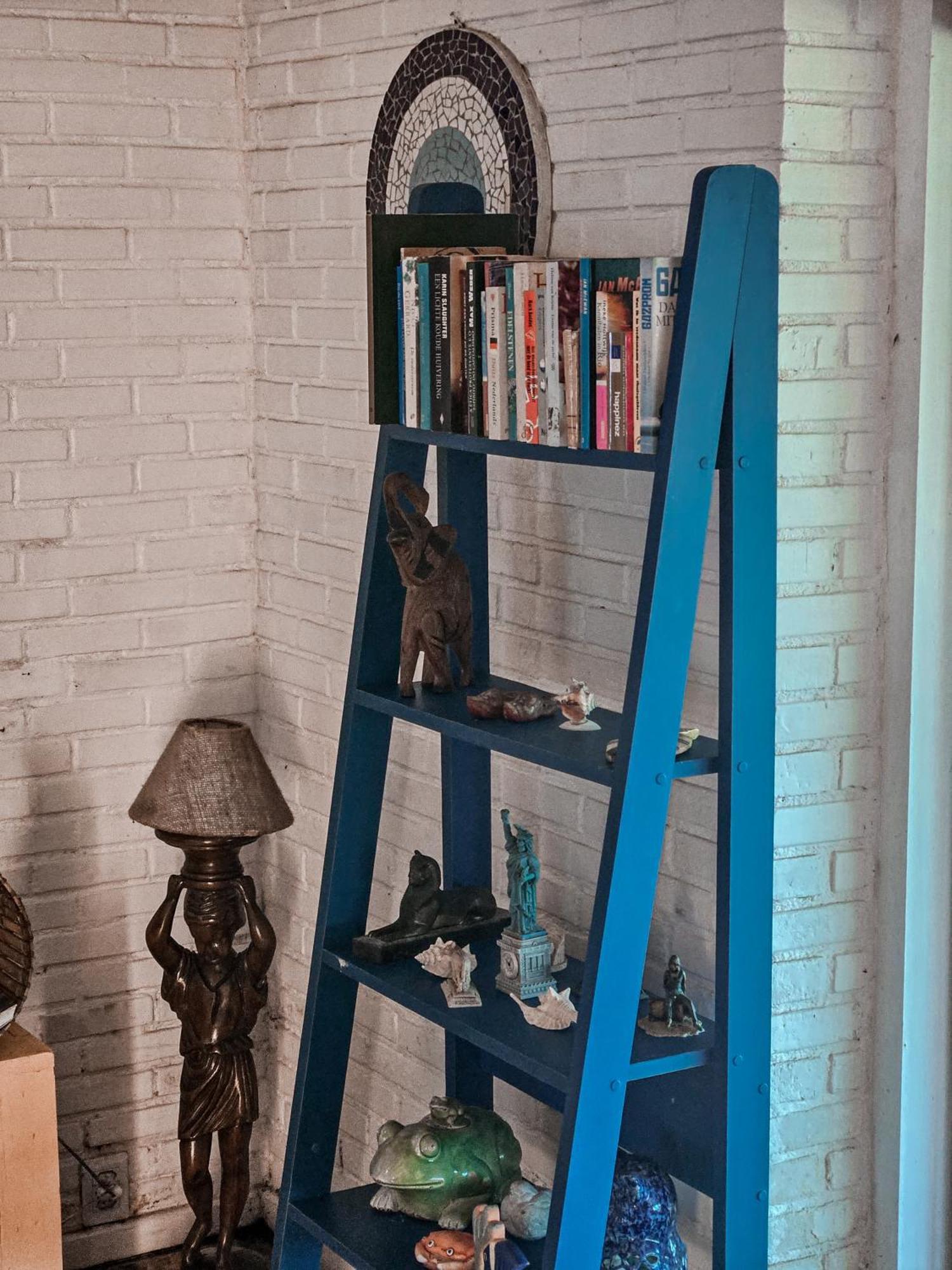 Hotel Bella Vista Ocean View Búzios Exteriér fotografie A blue ladder shelf