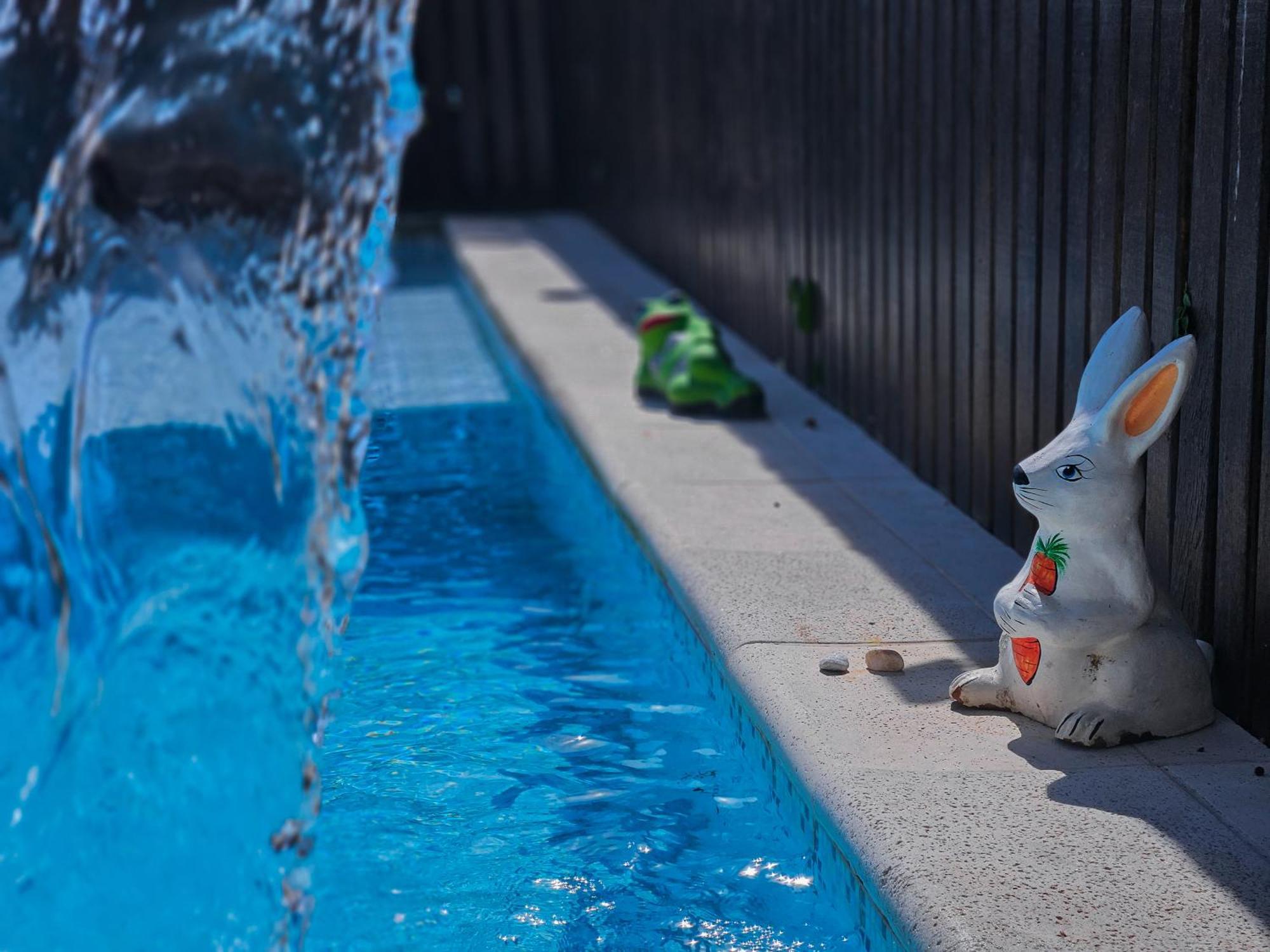 Hotel Bella Vista Ocean View Búzios Exteriér fotografie A bunny watering can